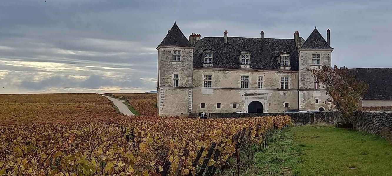 Le Clos de Vougeot au milieu des vignes